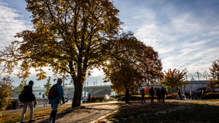 Thumbnail for 6811741