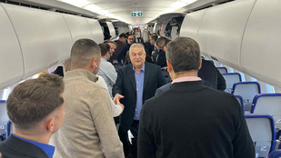 Thumbnail for 6811868