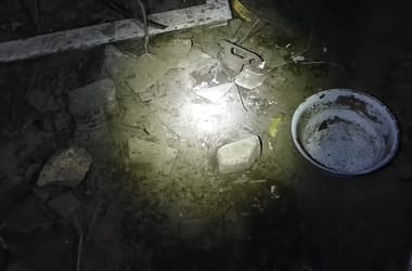 Thumbnail for 6811930