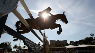 Thumbnail for 6812078