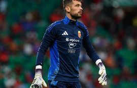 Thumbnail for 6812164