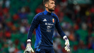 Thumbnail for 6812164