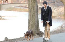 Thumbnail for 6812199