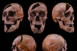 Thumbnail for 6812316