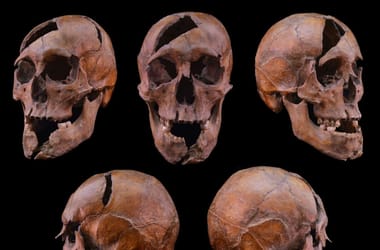 Thumbnail for 6812316