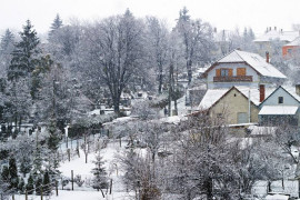 Thumbnail for 6812411