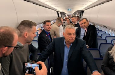 Thumbnail for 6812432