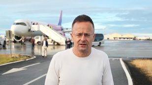 Thumbnail for 6812536