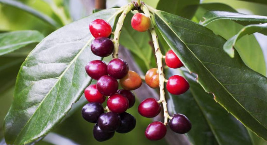 Thumbnail for 6812679