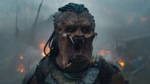 Thumbnail for 6812777