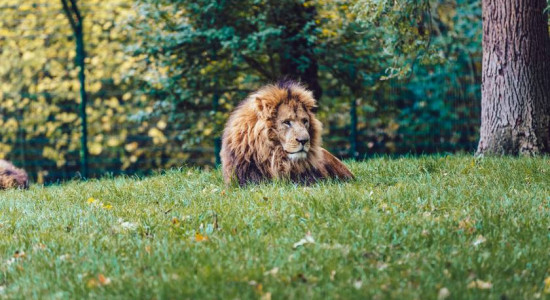 Thumbnail for 6812789