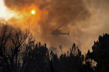 Thumbnail for 6812793