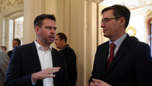 Thumbnail for 6812861