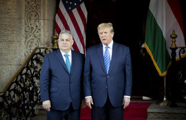 Thumbnail for 6812922