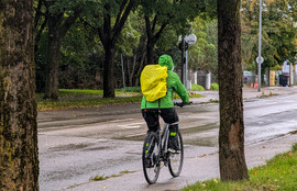 Thumbnail for 6812929