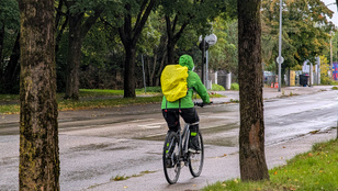 Thumbnail for 6812929