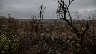 Thumbnail for 6813006