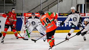 Thumbnail for 6813021