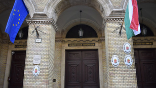 Thumbnail for 6813025