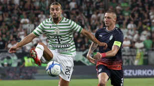 Thumbnail for 6813081