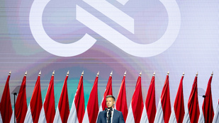 Thumbnail for 6813086