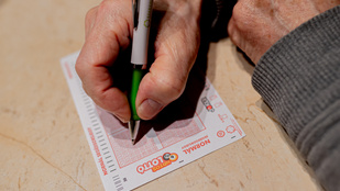 Thumbnail for 6813133