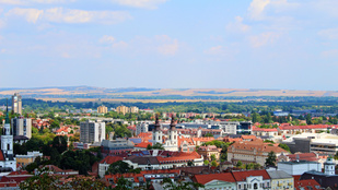 Thumbnail for 6813289