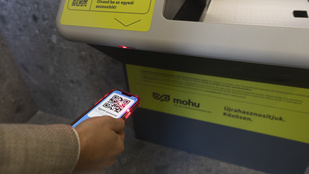 Thumbnail for 6813304