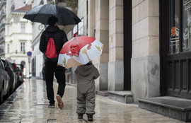 Thumbnail for 6813317