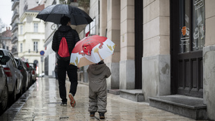 Thumbnail for 6813317