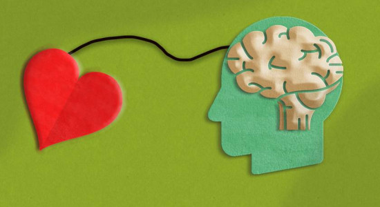 Thumbnail for 6813328