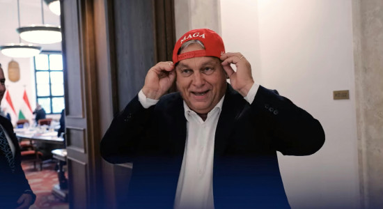 Thumbnail for 6813398