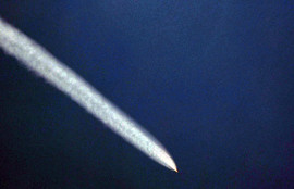 Thumbnail for 6813412