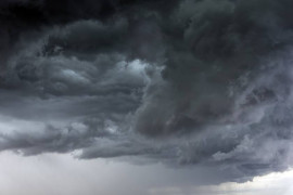 Thumbnail for 6813490