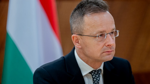 Thumbnail for 6813497