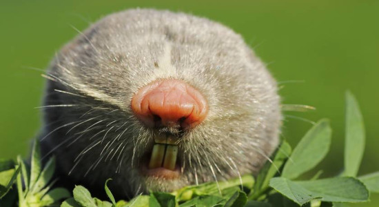 Thumbnail for 6813507