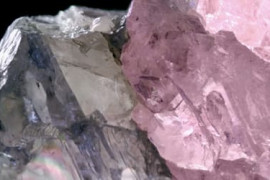 Thumbnail for 6813537