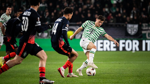 Thumbnail for 6813596