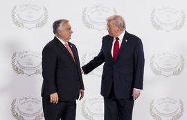 Thumbnail for 6813623