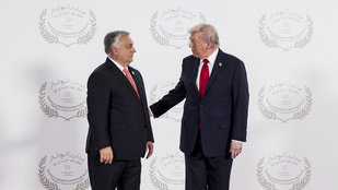 Thumbnail for 6813623