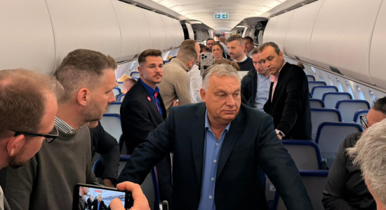 Thumbnail for 6813635