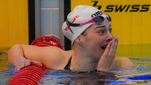 Thumbnail for 6813637