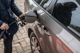 Thumbnail for 6813859