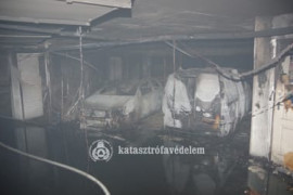 Thumbnail for 6813877