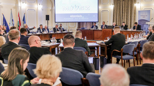 Thumbnail for 6813896