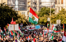 Thumbnail for 6814315