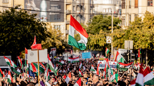 Thumbnail for 6814315