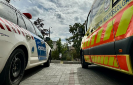 Thumbnail for 6814390