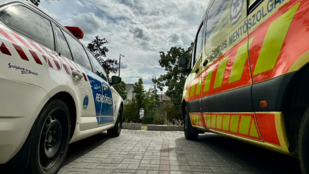 Thumbnail for 6814390