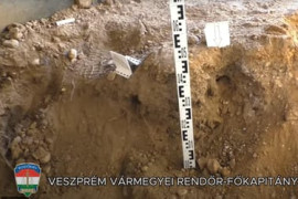 Thumbnail for 6814442